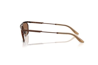 Side view Dolce & Gabbana DG2327 (133673)