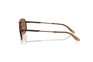 Side view Dolce & Gabbana DG2328 (133673)