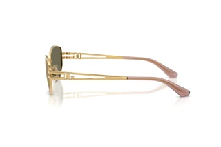 Side view Dolce & Gabbana DG2338 (02/03)