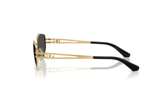 Side view Dolce & Gabbana DG2338 (02/87)