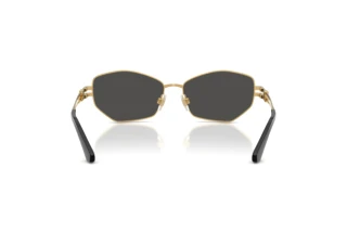 Rear view Dolce & Gabbana DG2338 (02/87)