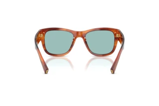 Rear view Dolce & Gabbana DG4338 (322180)