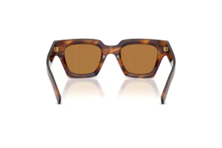 Rear view Dolce & Gabbana DG4413 (306373)