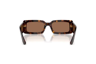 Rear view Dolce & Gabbana DG4416 (193573)