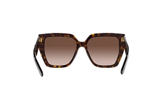Rear view Dolce & Gabbana DG4438 (502/13)