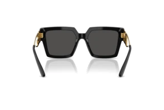 Rear view Dolce & Gabbana DG4446B (335587)
