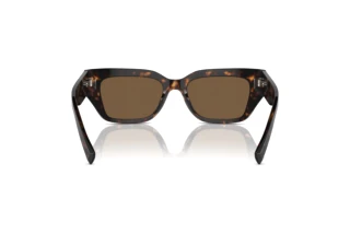 Rear view Dolce & Gabbana DG4462 (502/73)