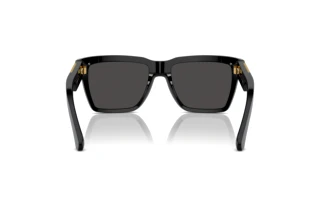Rear view Dolce & Gabbana DG4465 (501/87)