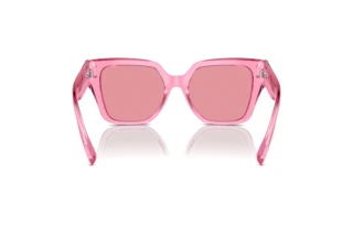 Rear view Dolce & Gabbana DG4471 (314830)