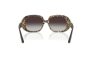 Rear view Dolce & Gabbana DG4476 (32998G)
