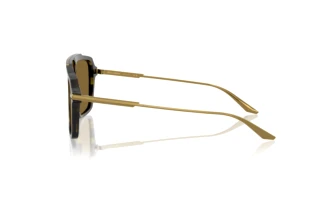 Side view Dolce & Gabbana DG4477 (3447S7)