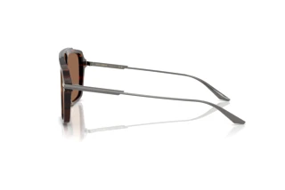Side view Dolce & Gabbana DG4477 (502/73)
