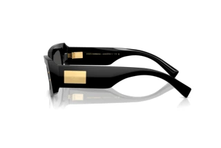 Side view Dolce & Gabbana DG4479 (501/87)