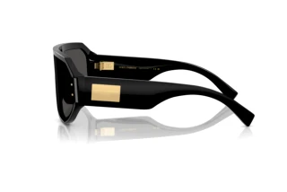 Side view Dolce & Gabbana DG4481 (501/87)