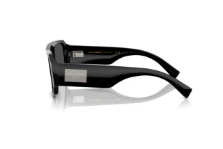 Side view Dolce & Gabbana DG4482 (501/87)