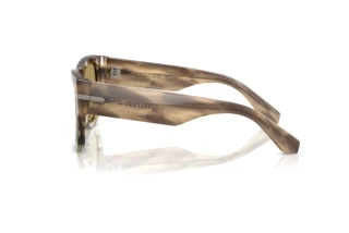Side view Dolce & Gabbana DG4484 (3439/2)