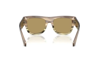 Rear view Dolce & Gabbana DG4484 (3439/2)