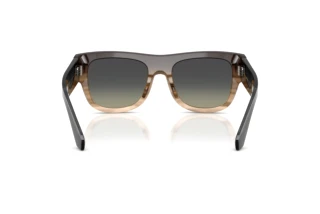 Rear view Dolce & Gabbana DG4484 (348411)