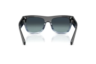 Rear view Dolce & Gabbana DG4484 (348519)