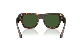 Rear view Dolce & Gabbana DG4484 (502/71)