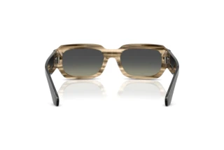 Rear view Dolce & Gabbana DG4485 (348411)