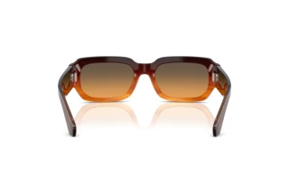 Rear view Dolce & Gabbana DG4485 (348618)