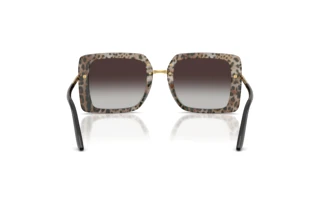 Rear view Dolce & Gabbana DG4491 (32998G)