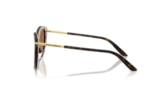 Side view Dolce & Gabbana DG4492 (321713)