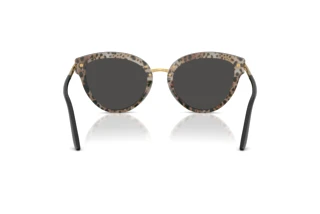 Rear view Dolce & Gabbana DG4492 (32998G)