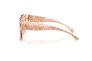 Side view Dolce & Gabbana DG4493 (314884)