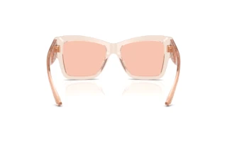 Rear view Dolce & Gabbana DG4493 (314884)