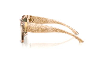Side view Dolce & Gabbana DG4493 (343203)