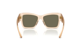 Rear view Dolce & Gabbana DG4493 (343203)