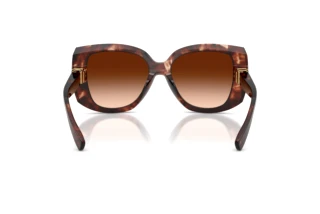 Rear view Dolce & Gabbana DG4495 (322274)