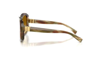 Side view Dolce & Gabbana DG4495 (34462L)