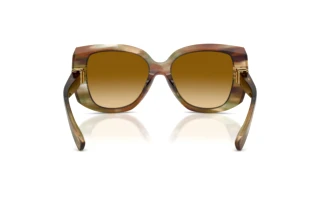 Rear view Dolce & Gabbana DG4495 (34462L)