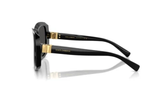 Side view Dolce & Gabbana DG4495 (501/87)