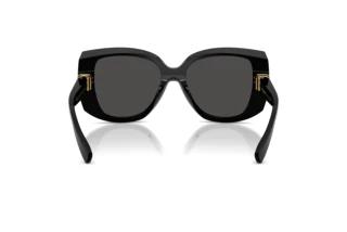 Rear view Dolce & Gabbana DG4495 (501/87)