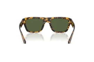 Rear view Dolce & Gabbana DG4496 (333071)