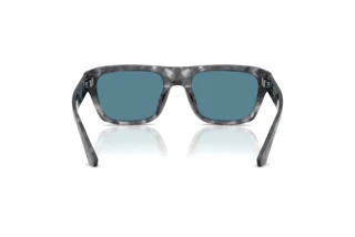 Rear view Dolce & Gabbana DG4496 (3445/1)