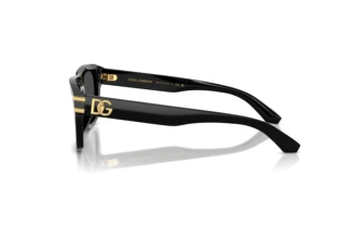 Side view Dolce & Gabbana DG4496 (501/87)