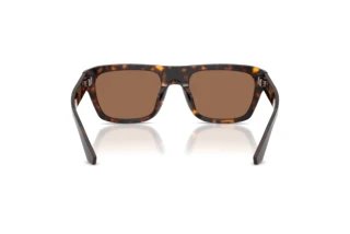 Rear view Dolce & Gabbana DG4496 (502/73)