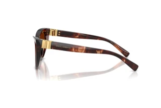 Side view Dolce & Gabbana DG4497 (322274)