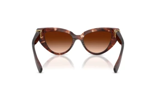 Rear view Dolce & Gabbana DG4497 (322274)