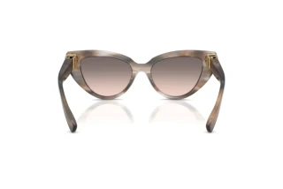 Rear view Dolce & Gabbana DG4497 (34493B)