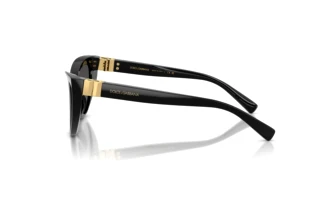 Side view Dolce & Gabbana DG4497 (501/87)