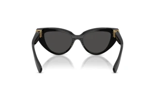 Rear view Dolce & Gabbana DG4497 (501/87)