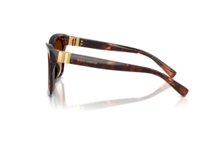 Side view Dolce & Gabbana DG4498 (322274)