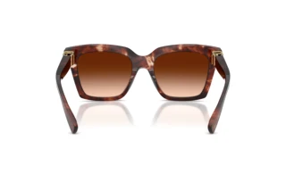 Rear view Dolce & Gabbana DG4498 (322274)