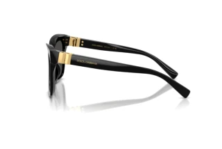 Side view Dolce & Gabbana DG4498 (501/87)
